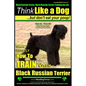 Black Russian Terrier, Black Russian Terrier Training AAA AKC: Think Like a Dog, but Don't Eat Your Poop! Black Russian Terrier Breed Expert Training: - Paperback