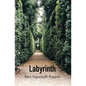 Labyrinth - Paperback