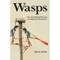Wasps: The Astonishing Diversity of a Misunderstood Insect - Hardcover