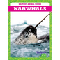 Narwhals - Paperback