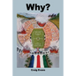 Why? - Paperback