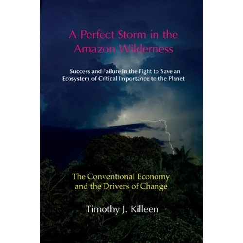 A Perfect Storm in the Amazon. Volume 1: The Conventional Economy and the Drivers of Change - Paperback