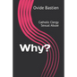 Why?: Catholic Clergy Sexual Abuse - Paperback