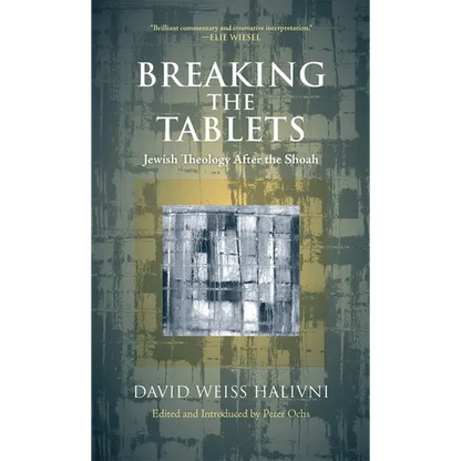 Breaking the Tablets: Jewish Theology After the Shoah - Paperback