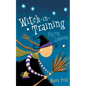 Flying Lessons - Paperback