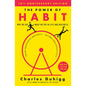 The Power of Habit: Why We Do What We Do in Life and Business - Hardcover