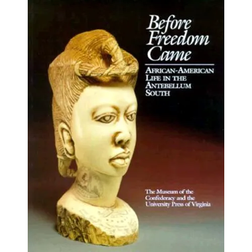 Before Freedom Came: African-American Life in the Antebellum South - Paperback