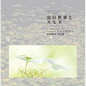 Japanese Insects and Haiku - Paperback
