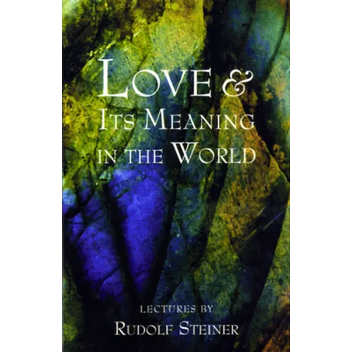 Love and Its Meaning in the World - Paperback