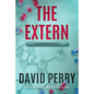 The Extern: A Jason Rodgers Novel - Paperback