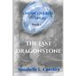 The Last DragonStone: Undiscovered but There: Book 1 - Paperback