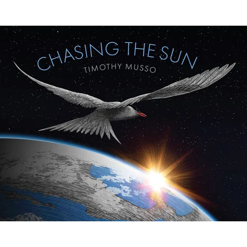 Chasing the Sun - Paperback