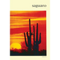 Saguaro: National Monument - Paperback