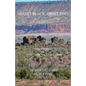 Right Place, Right Time: The Journey of a Pueblo of Laguna Native - Paperback