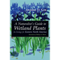 A Naturalist's Guide to Wetland Plants: An Ecology for Eastern North America - Paperback