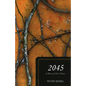 2045: A Story of Our Future - Paperback