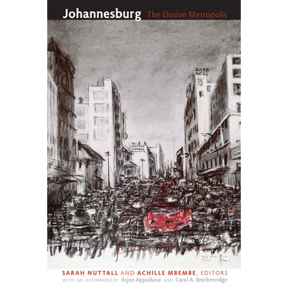 Johannesburg: The Elusive Metropolis - Paperback