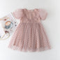 Summer Cute Princess Style Children's Dress With Embroidery Mesh