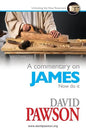 A Commentary on James - Paperback