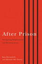 After Prison: Navigating Employment and Reintegration - Paperback