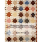 Homespun Heroines and Other Women of Distinction - Paperback