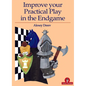 Improve Your Practical Play in the Endgame - Paperback