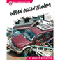 Indian Ocean Tsunami - Paperback