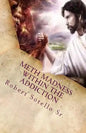 METH Madness Within The Addiction - Paperback