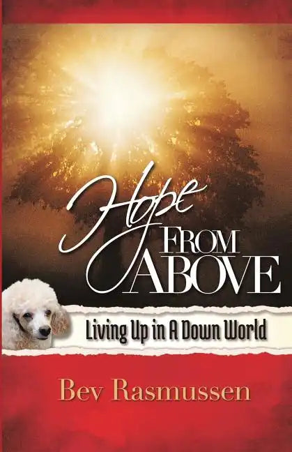 Hope From Above - Paperback