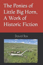 The Ponies of Little Big Horn, A Work of Historic Fiction - Paperback