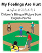 English-Pashto My Feelings Are Hurt Children's Bilingual Picture Book - Paperback