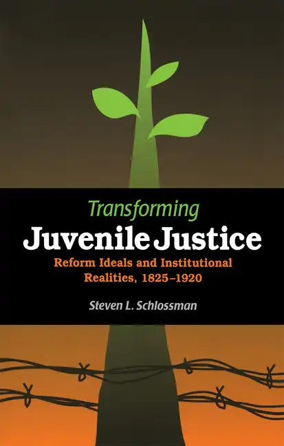 Transforming Juvenile Justice: Reform Ideals and Institutional Realities, 1825-1920 - Paperback
