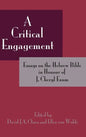 A Critical Engagement: Essays on the Hebrew Bible in Honour of J. Cheryl Exum - Hardcover