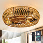 Ceiling Fan Caged Boho Flush Mount with Light Remote 6 Speed 19 In