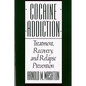 Cocaine Addiction, Treatment, Recovery, and Relapse Prevention (Revised) - Paperback