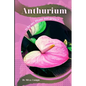 Anthurium: Why my Plant not grow? problems and their solutions - Paperback