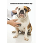 Essential Oils and Natural Remedies for Dogs: Comprehensive Guide to Keep Your Dog Healthy - Paperback