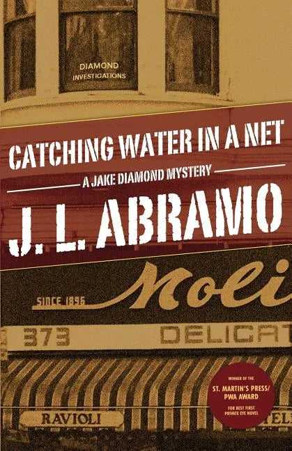 Catching Water in a Net - Paperback