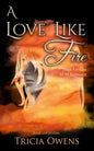 A Love Like Fire: High Fantasy M/M Romance - Paperback