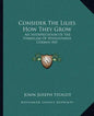 Consider the Lilies How They Grow: An Interpretation of the Symbolism of Pennsylvania German Art - Paperback