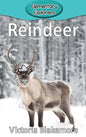 Reindeer - Hardcover