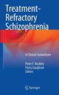Treatment-Refractory Schizophrenia: A Clinical Conundrum - Hardcover