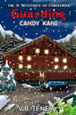 Guarding Candy Kane - Paperback