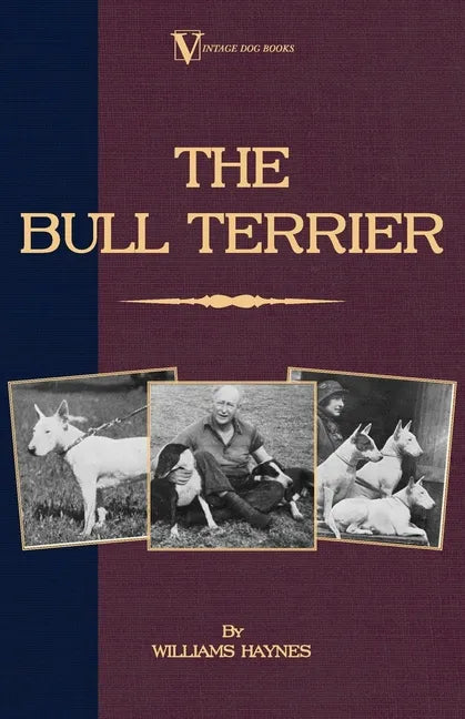 The Bull Terrier - Paperback
