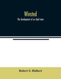 Winsted; the development of an ideal town - Paperback