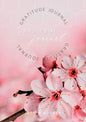 Gratitude Journal: Keep in the forefront of your mind gratitude and thankfulness - Paperback