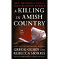 A Killing in Amish Country: Sex, Betrayal, and a Cold-Blooded Murder - Paperback