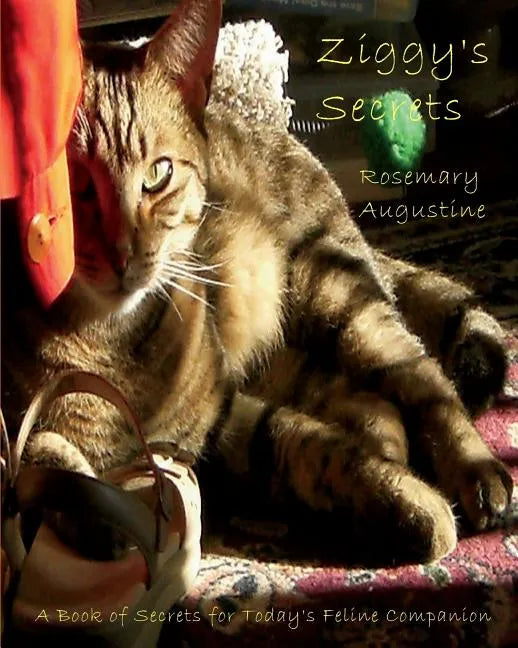 Ziggy's Secrets: An Internet Password Keeper - Paperback