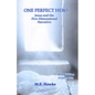 One Perfect Hero: Jesus and the Five-Dimensional Narrative - Paperback