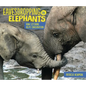 Eavesdropping on Elephants: How Listening Helps Conservation - Paperback